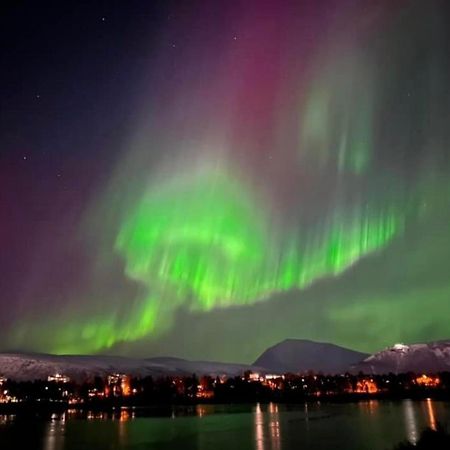 Polar Arctic View - Free Parking! Apartment Tromso Bagian luar foto