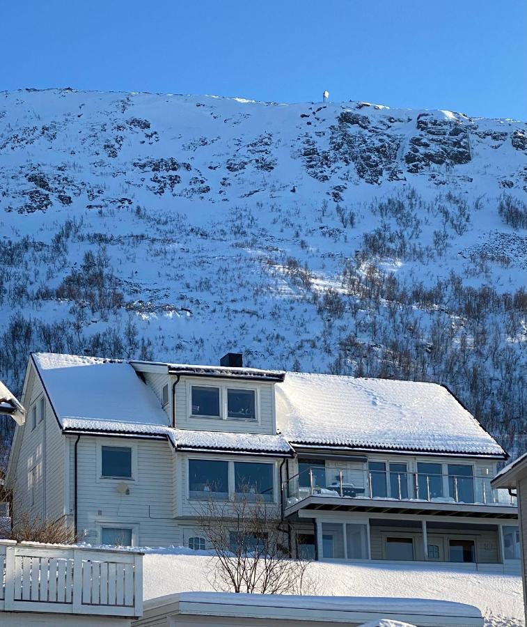 Polar Arctic View - Free Parking! Apartment Tromso Bagian luar foto