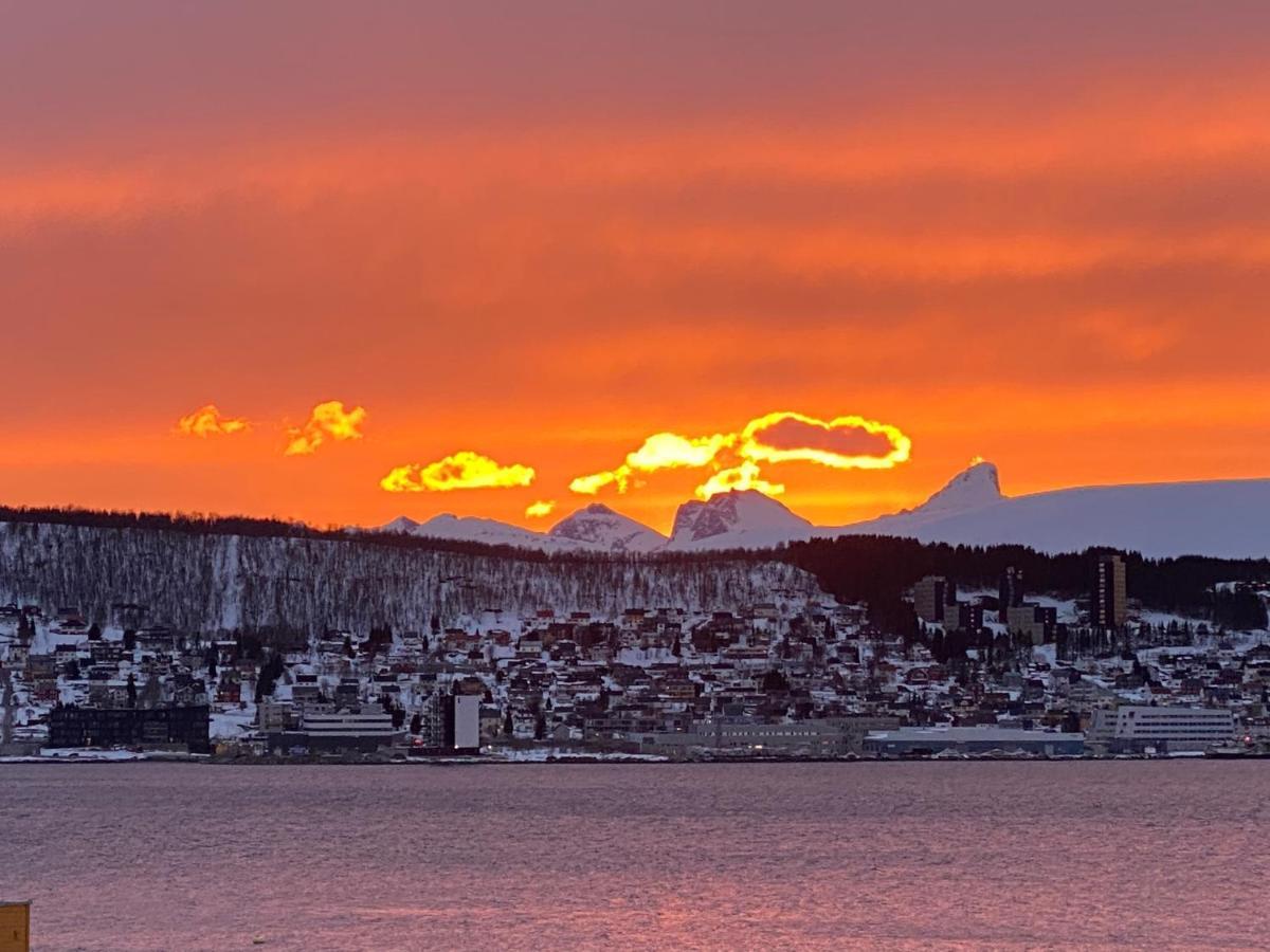 Polar Arctic View - Free Parking! Apartment Tromso Bagian luar foto