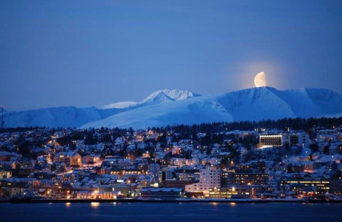 Polar Arctic View - Free Parking! Apartment Tromso Bagian luar foto